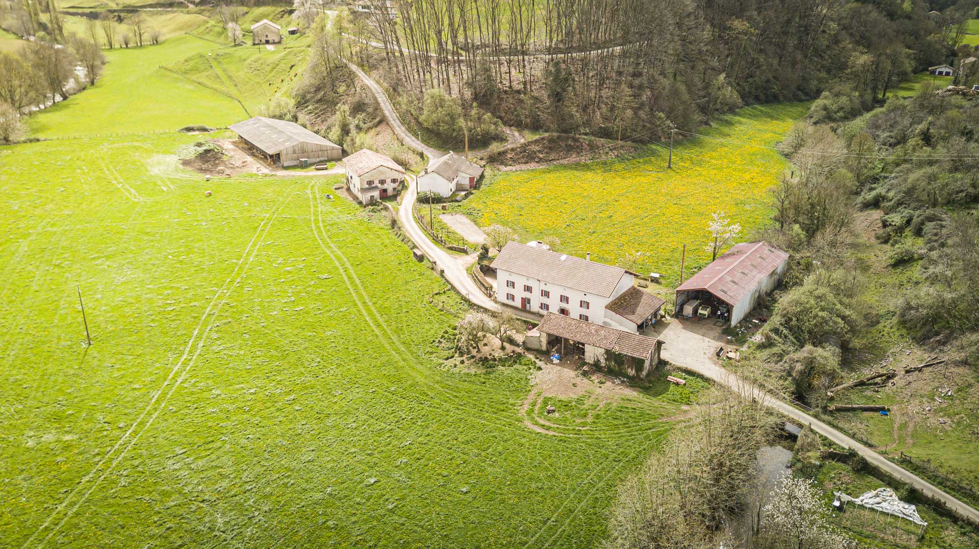Ferme Basque Ferme AUZKIA - Gîte et Ferme au cœur du Pays Basque